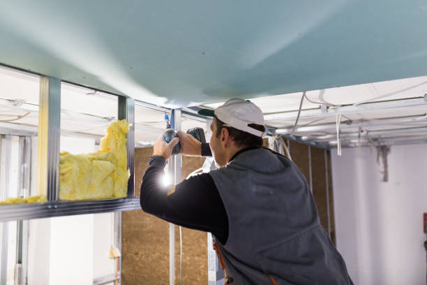 Best Commercial Insulation in Brocton, NY